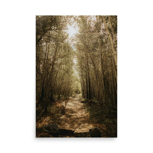 The Pass Less Traveled
