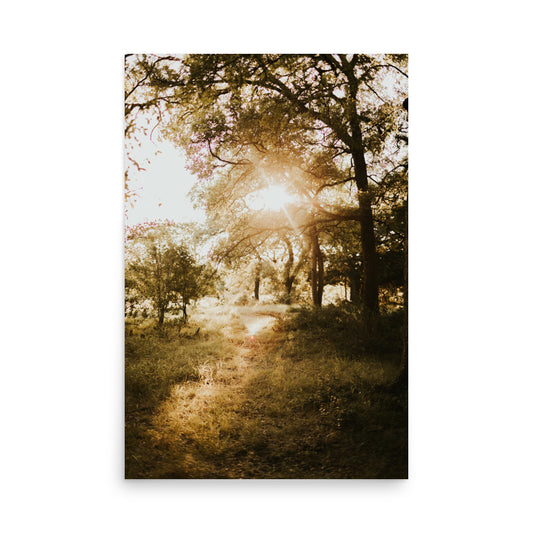 Follow the Sun